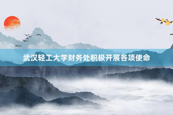 武汉轻工大学财务处积极开展各项使命